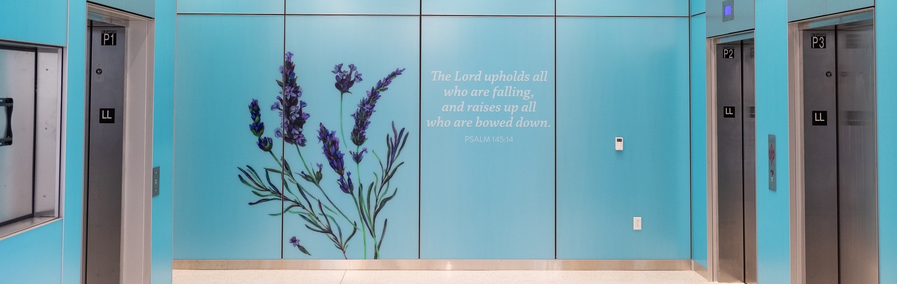 OSF Cancer Ins Elevator Graphics Fullsize